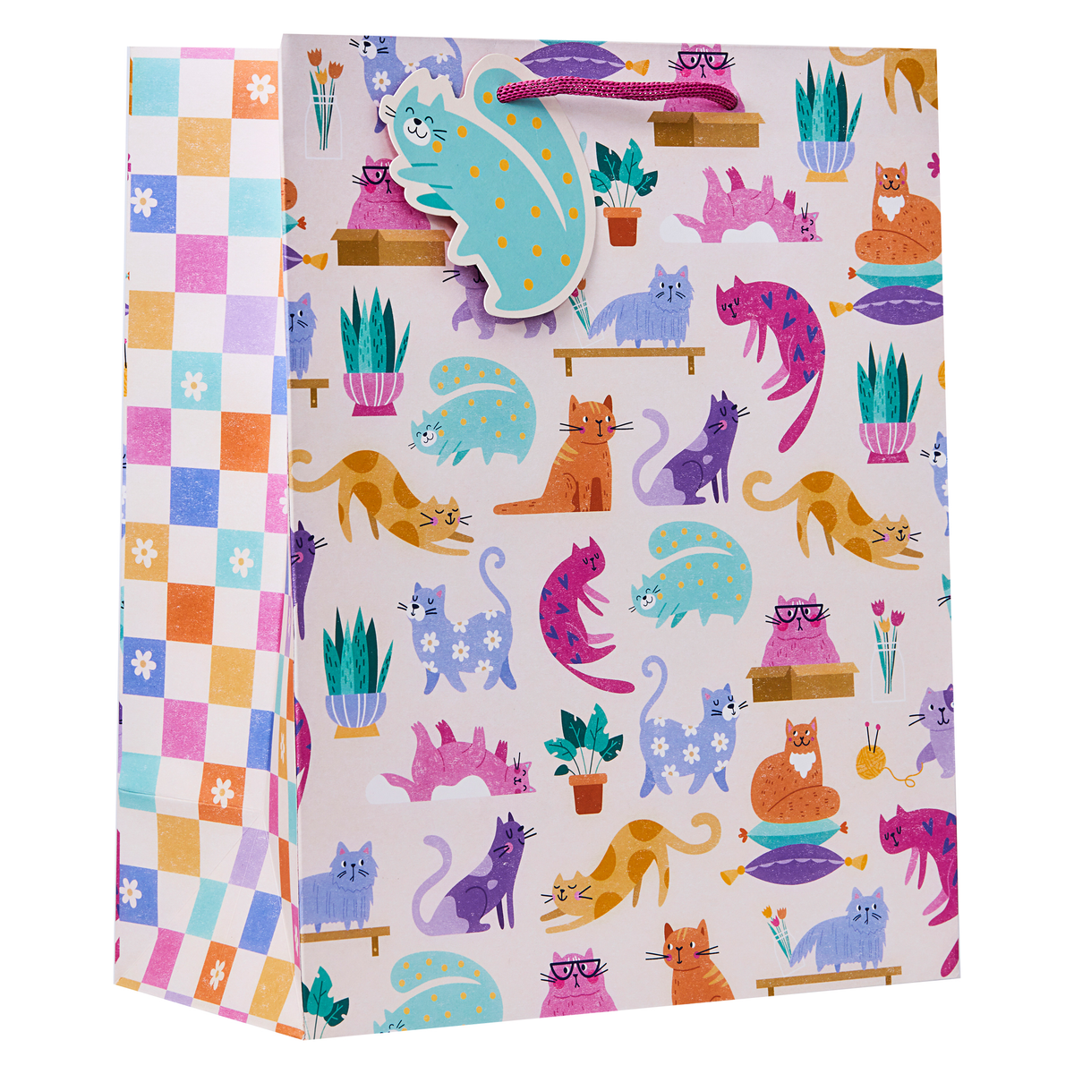 Partisan 6 Pack Gift Bag Cattitude Large - Tiger Feet Ireland