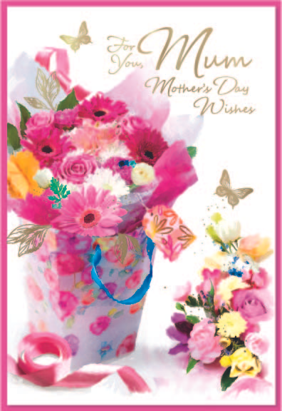 Simon Elvin 6 Pack Cards C50 Mother's Day Mum - Tiger Feet Ireland