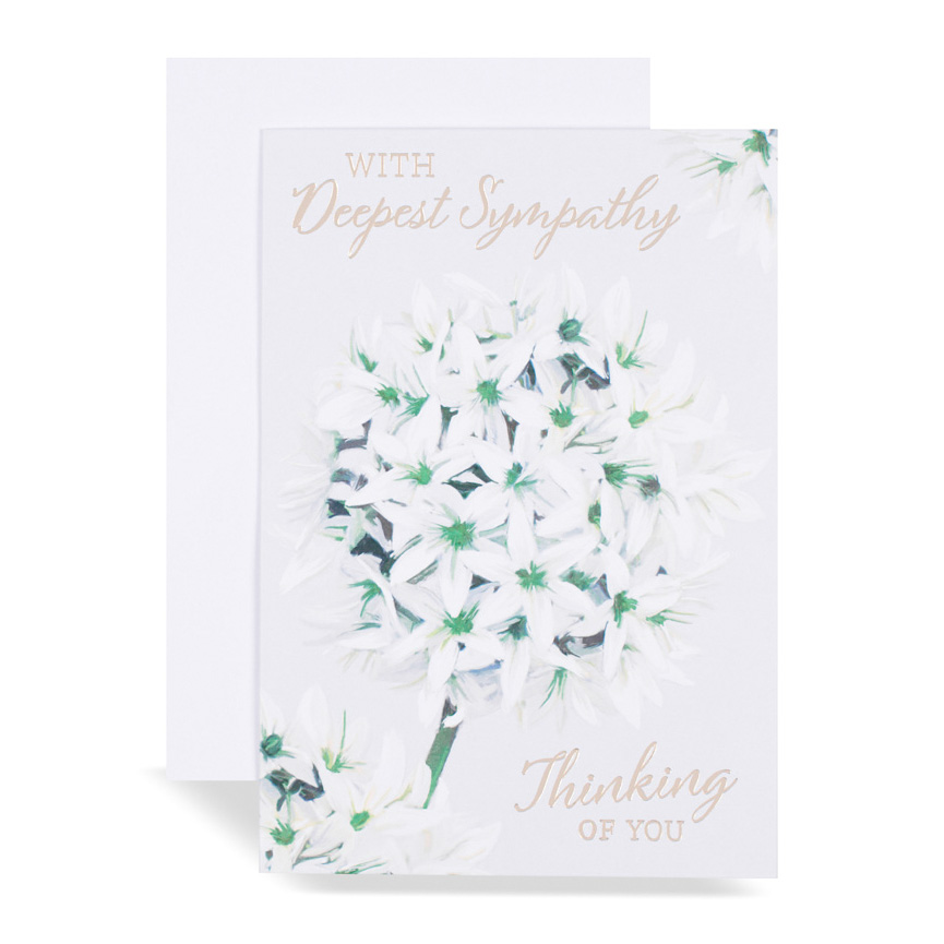 6pk Cards 50 Sympathy Open - Tiger Feet Ireland