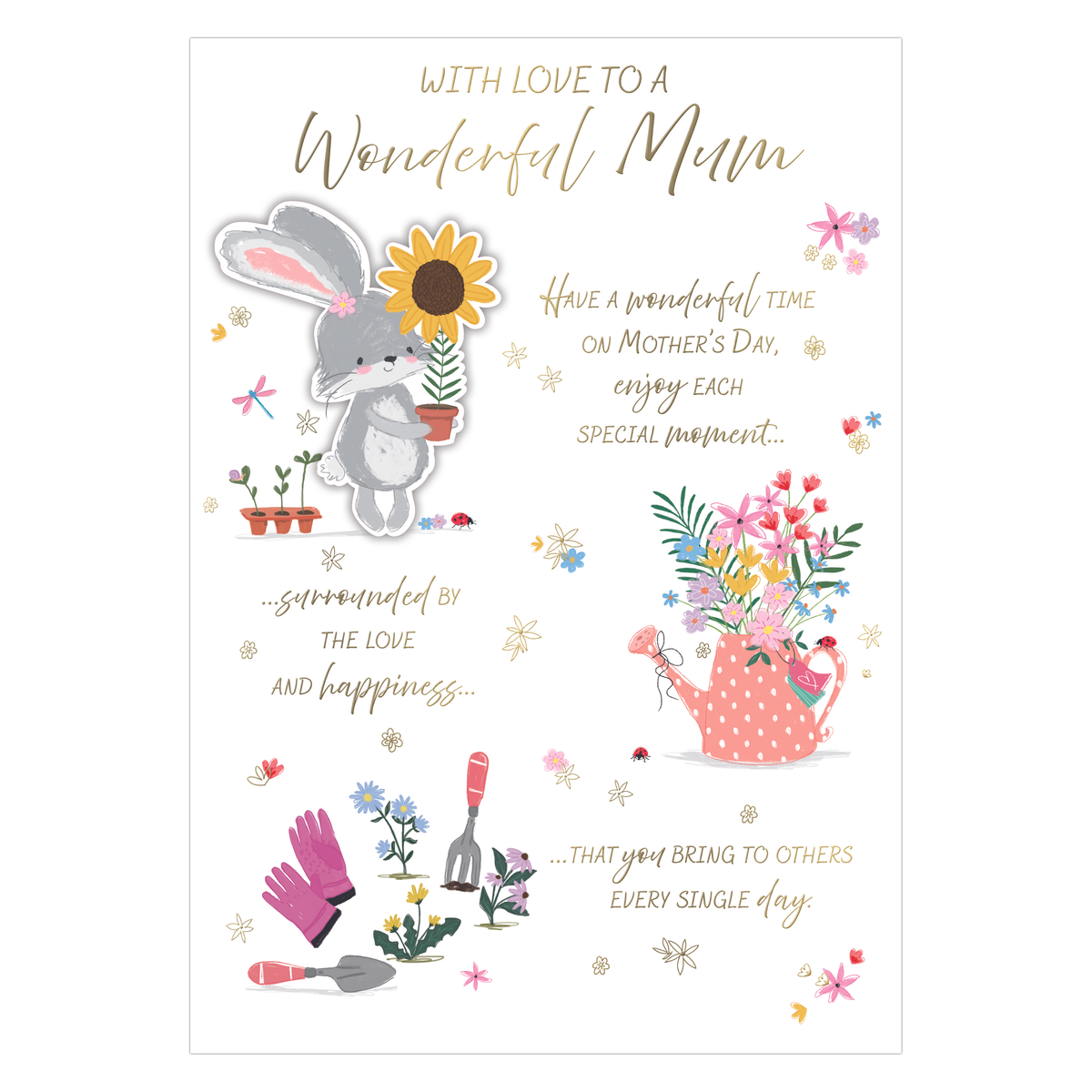 6pk Cards C90 Mum - Tiger Feet Ireland