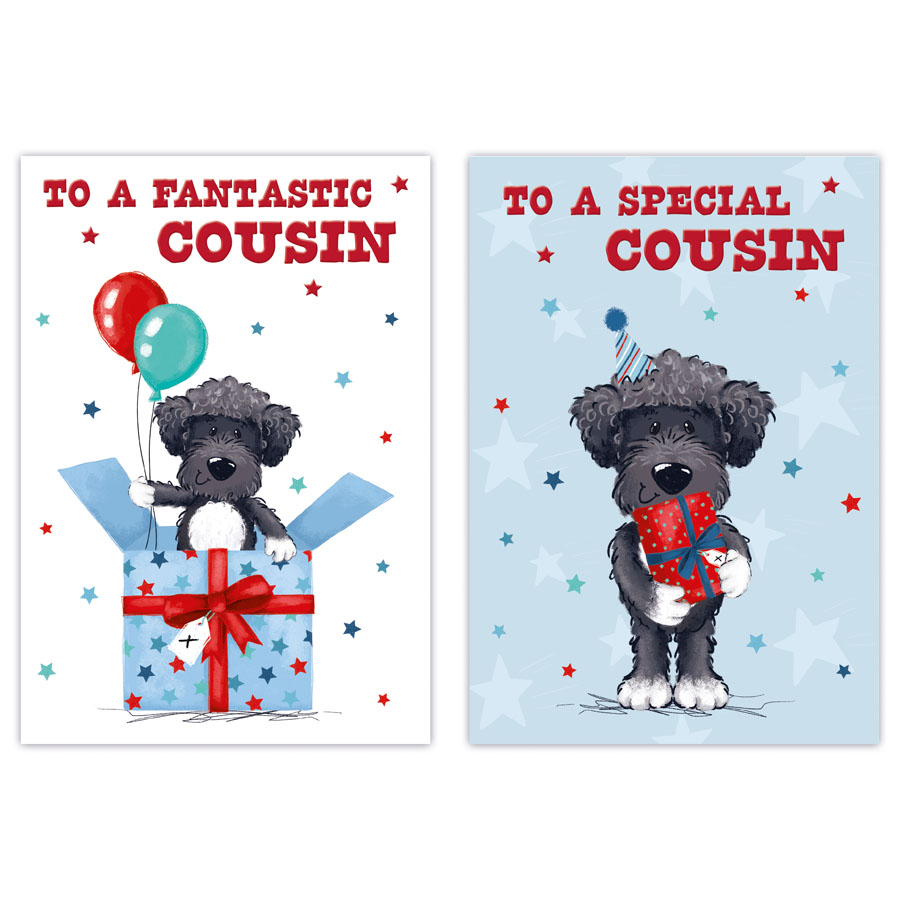 12pk Cards C50 Birthday Cousin - Tiger Feet Ireland