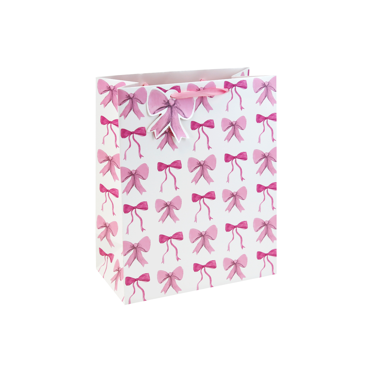 6pk Gift Bag Bow Medium - Tiger Feet Ireland