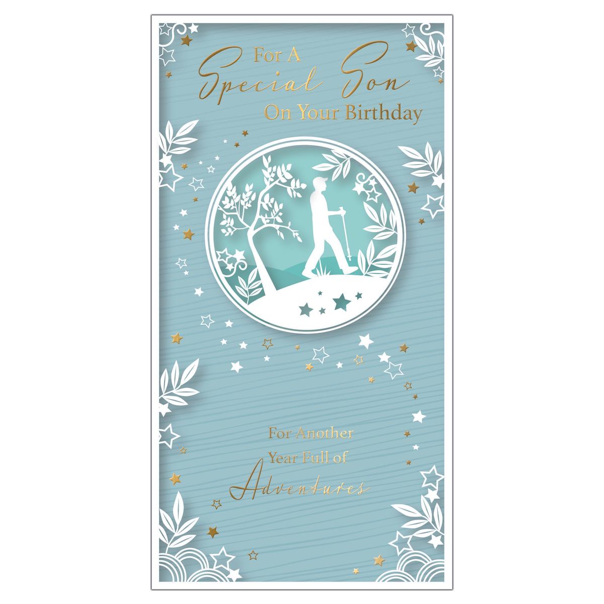 6pk Cards C55 Birthday Son - Tiger Feet Ireland