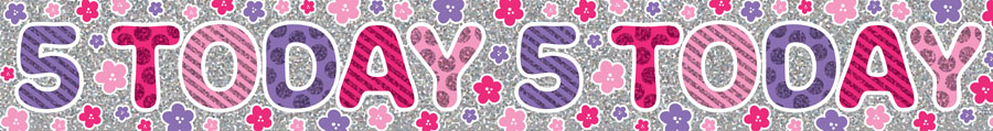 6pk Banners Birthday Age 5 - Tiger Feet Ireland