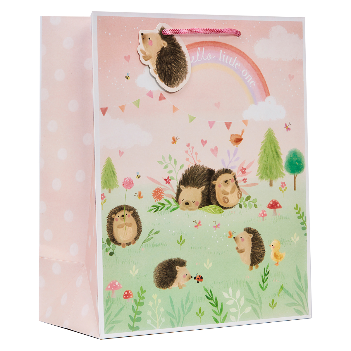 6 Pack Gift Bag Hedge-Hugs Hetty Pink Medium - Tiger Feet Ireland