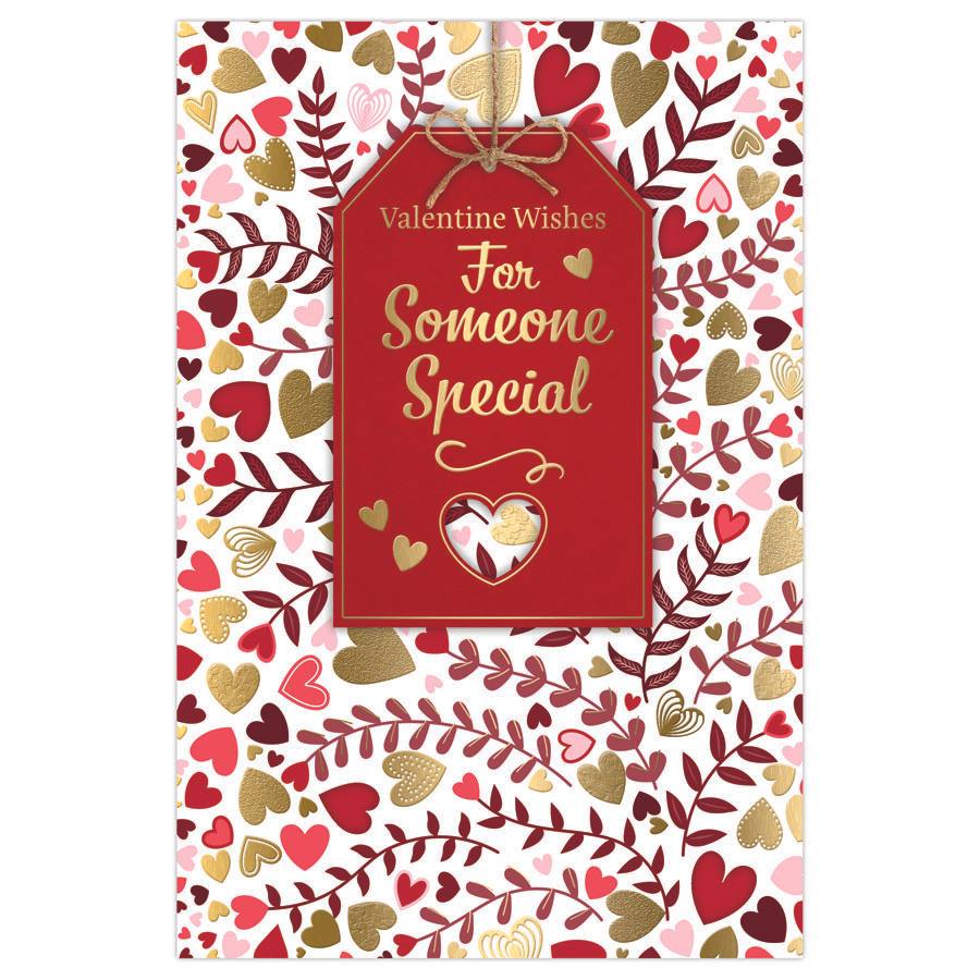 6pk Cards C75 Someone Special - Tiger Feet Ireland