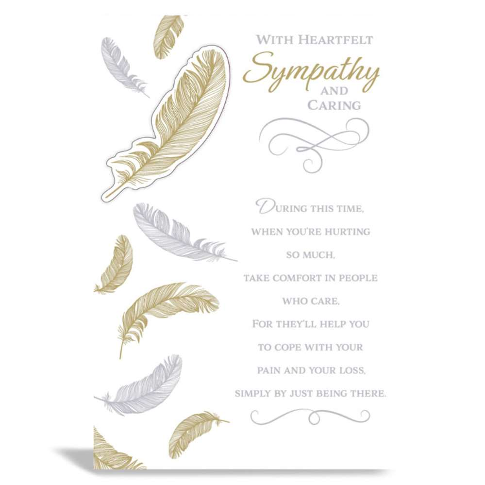 6pk Cards C75 Sympathy Open - Tiger Feet Ireland