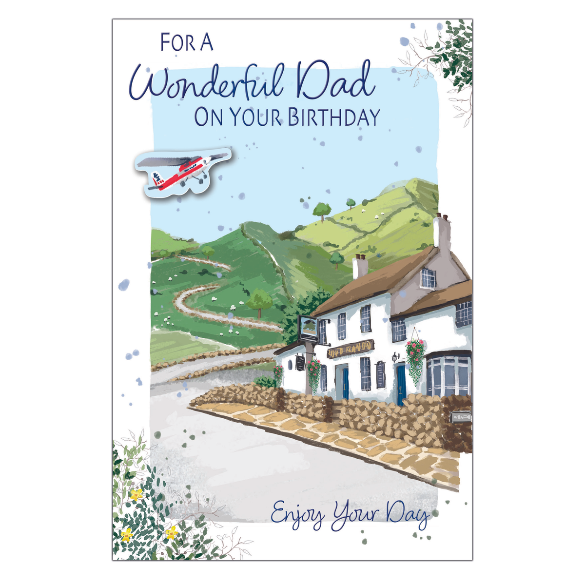 6pk Cards C75 Birthday Dad - Tiger Feet Ireland