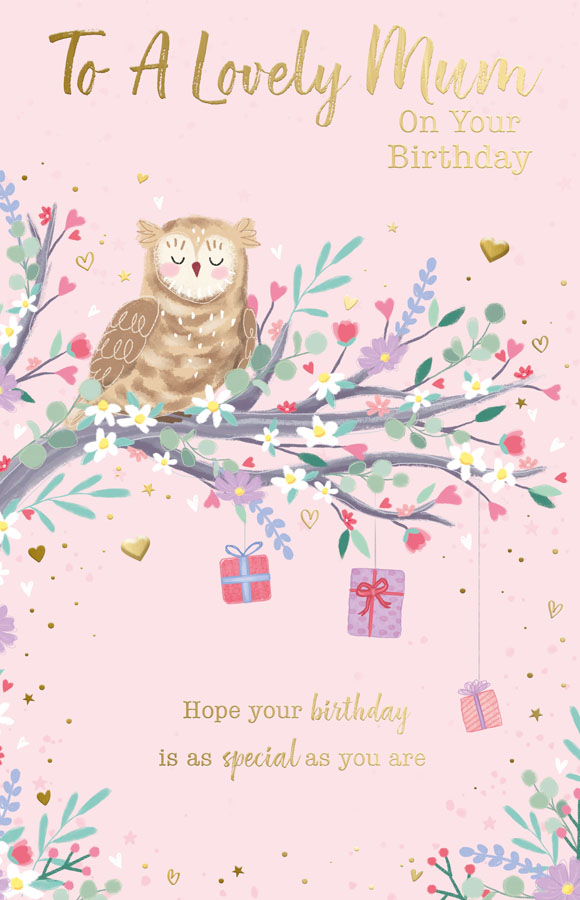 6pk Cards C375 Birthday Mum - Tiger Feet Ireland