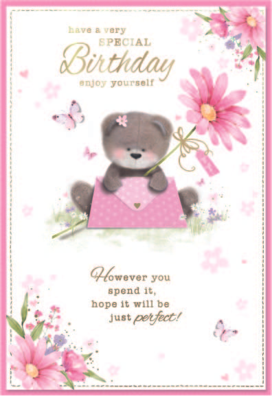 6pk Cards ED C50 Birthday Cute Female - Tiger Feet Ireland