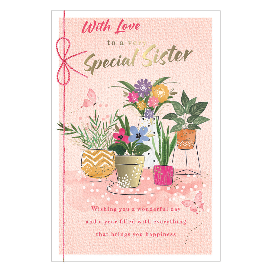 6pk Cards C75 Birthday Sister - Tiger Feet Ireland