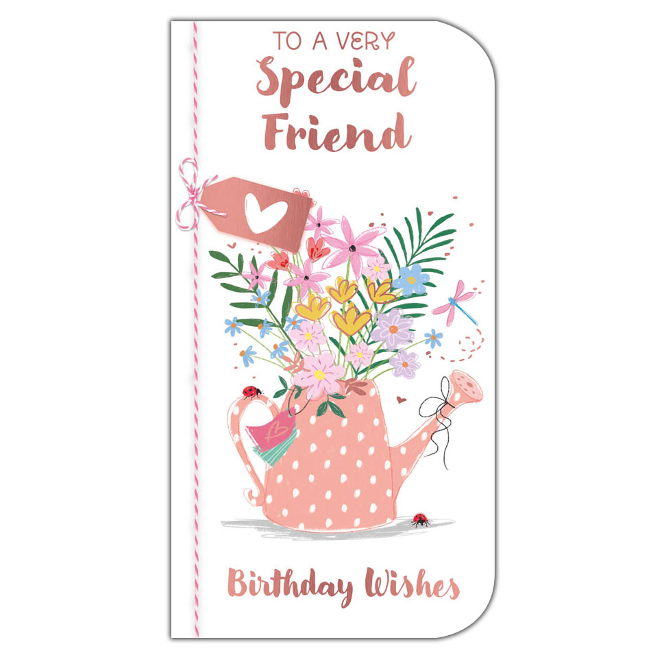 6pk Cards C55 Birthday Friend - Tiger Feet Ireland