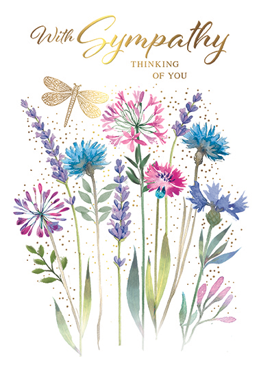 6pk Cards C50 Sympathy - Tiger Feet Ireland