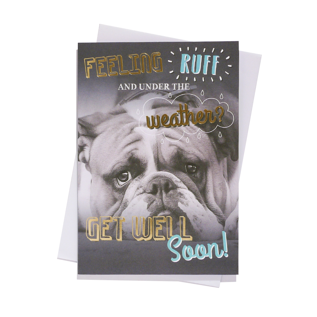 6pk Cards C50 Get Well - Tiger Feet Ireland