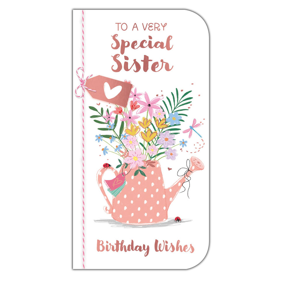 6pk Cards C55 Birthday Sister - Tiger Feet Ireland