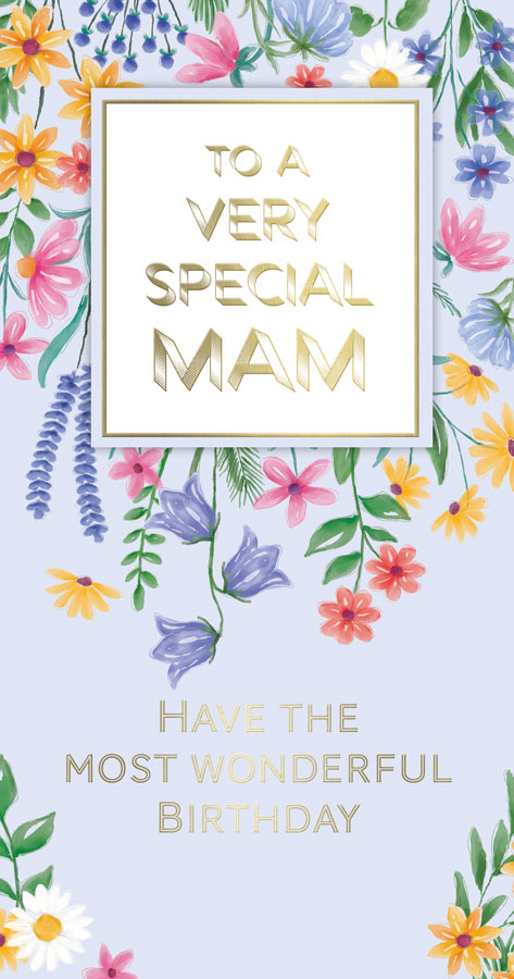 6pk Cards C55 Birthday Mam - Tiger Feet Ireland