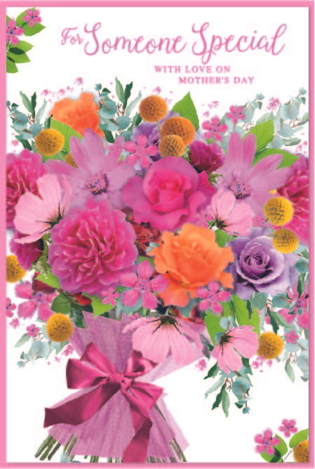 Simon Elvin 6pk C75 Mother's Day Someone Special - Tiger Feet Ireland