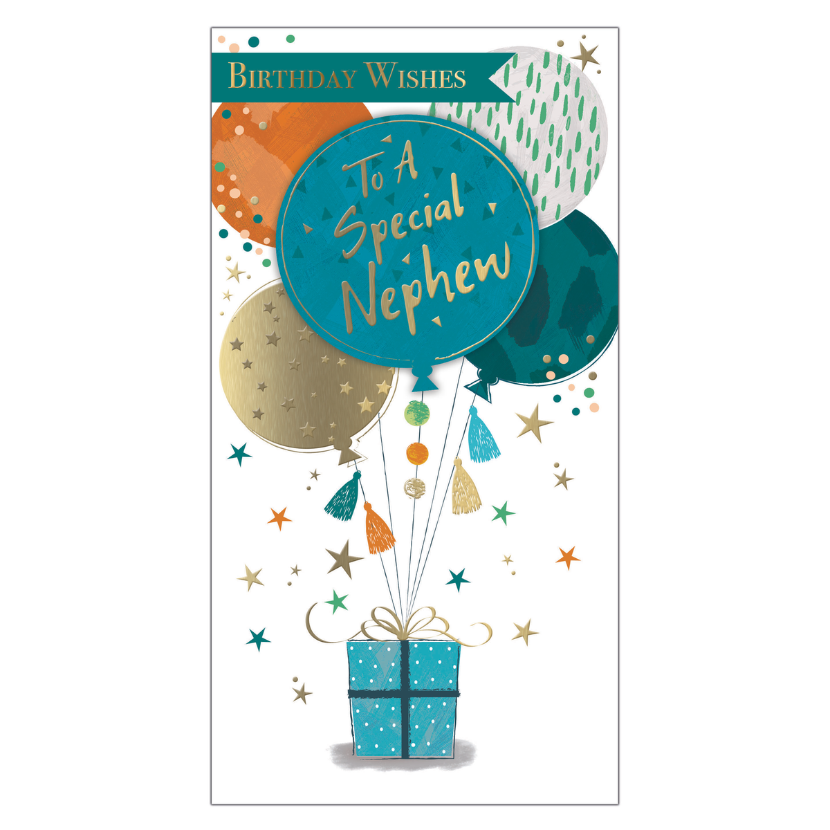 6pk Cards C55 Birthday Nephew - Tiger Feet Ireland