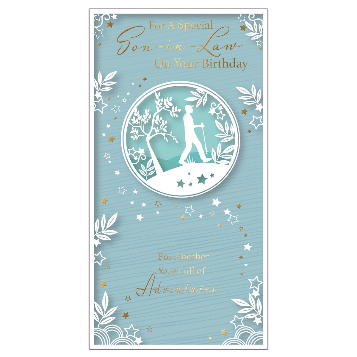 6pk Cards C55 Birthday Son-In-Law - Tiger Feet Ireland