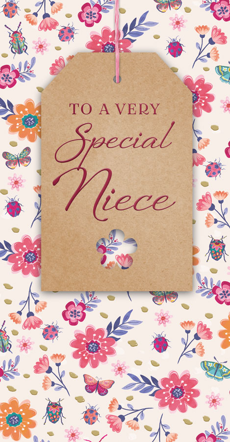 6pk Cards C55 Birthday Niece - Tiger Feet Ireland