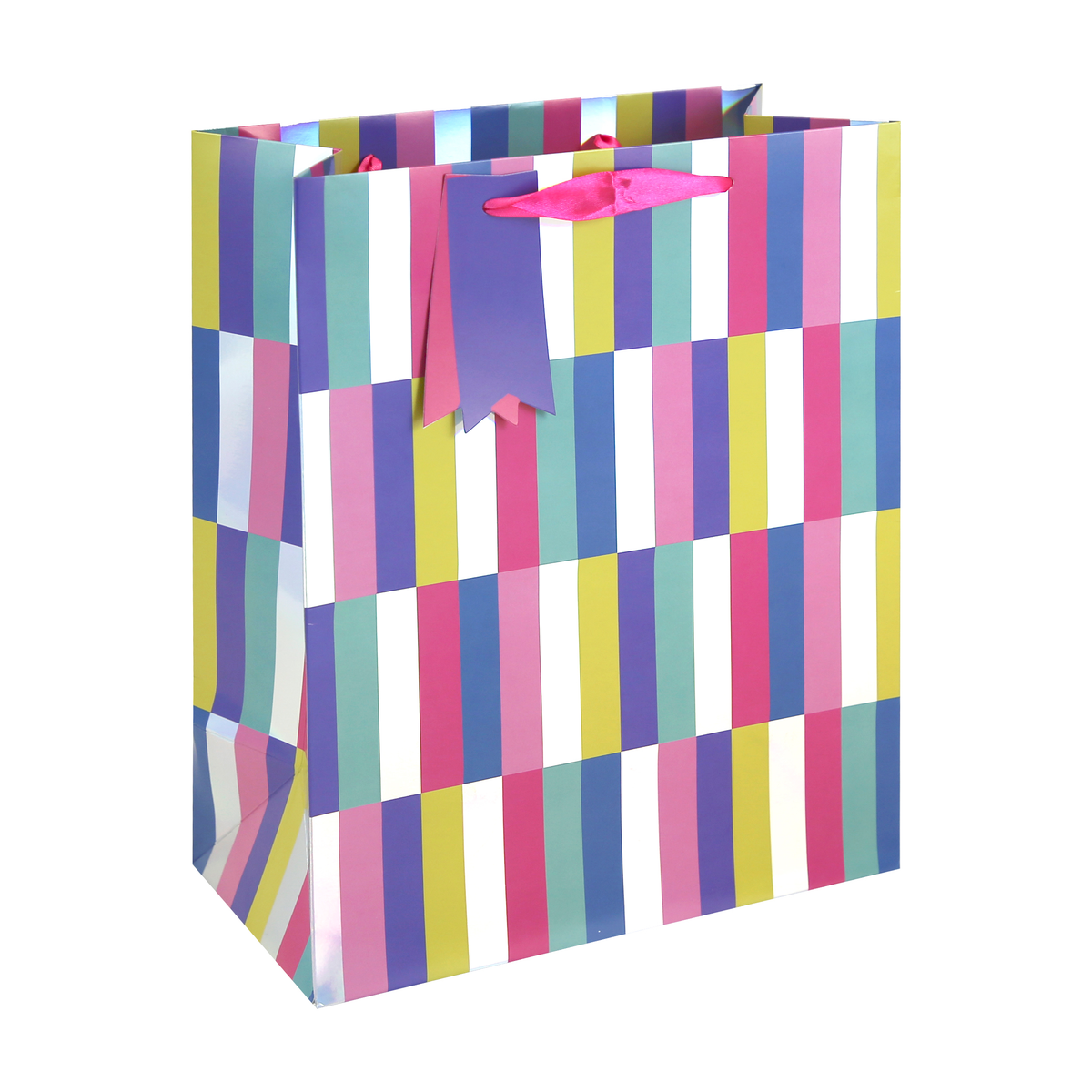 6pk Gift Bag Holo Stripes Large - Tiger Feet Ireland