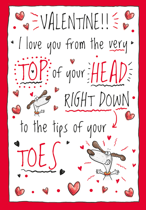 6pk Cards VD C75 Head To Toe Dog - Tiger Feet Ireland