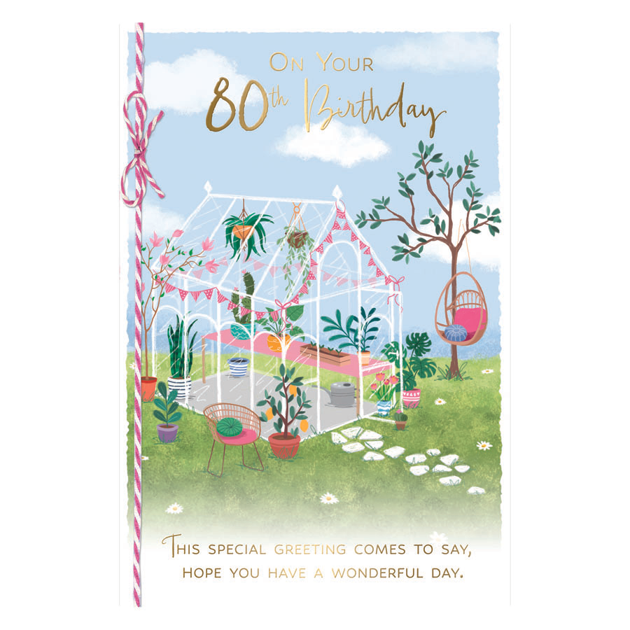 6pk Cards C75 Birthday Wife - Tiger Feet Ireland