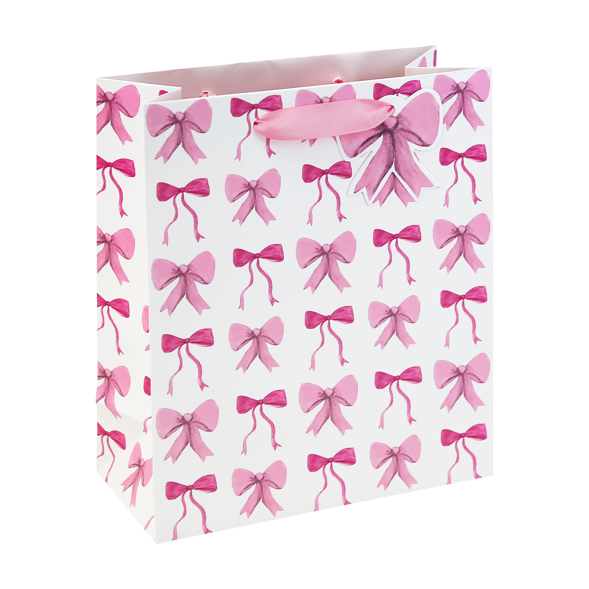 6pk Gift Bag Bow Large - Tiger Feet Ireland