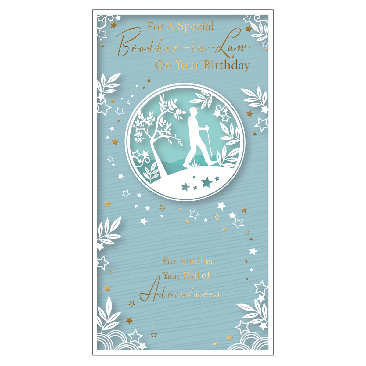 6pk Cards C55 Birthday Brother-In-Law - Tiger Feet Ireland