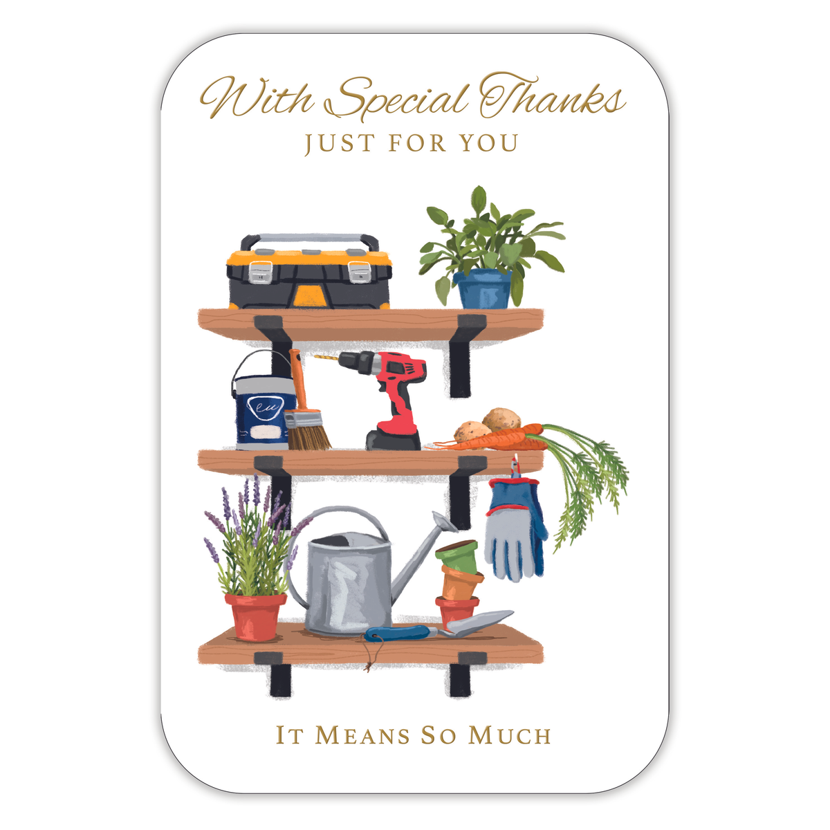 6pk Cards C75 Thank You - Tiger Feet Ireland