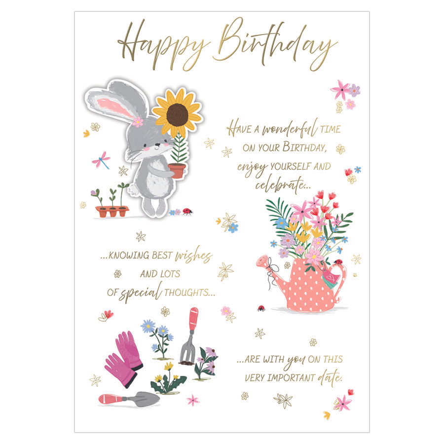 6pk Cards C90 Birthday Open - Tiger Feet Ireland