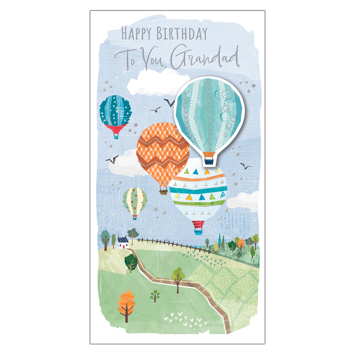 6pk Cards C55 Birthday Grandad - Tiger Feet Ireland