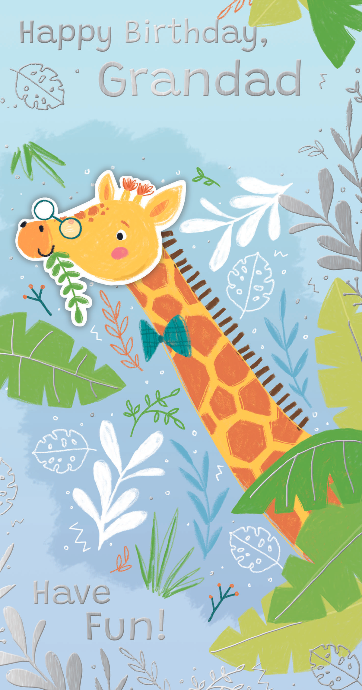 6pk Cards C55 Birthday Grandad - Tiger Feet Ireland