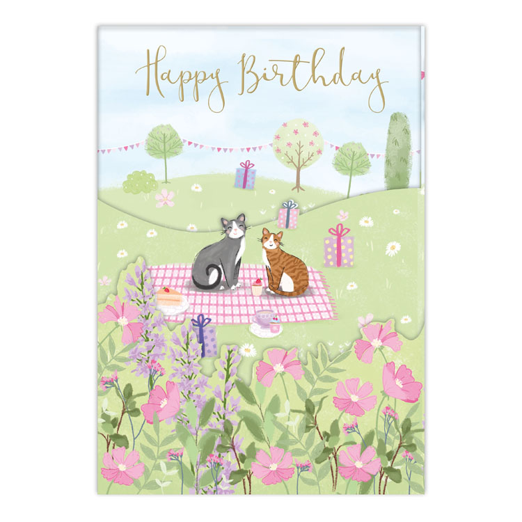 6pk Cards C90 Birthday Open - Tiger Feet Ireland