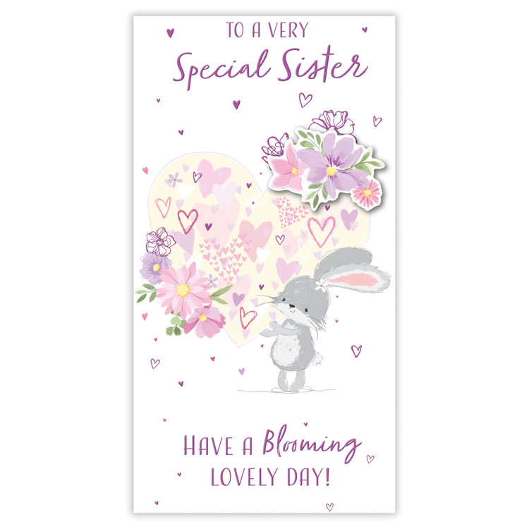 6pk Cards C55 Birthday Sister - Tiger Feet Ireland
