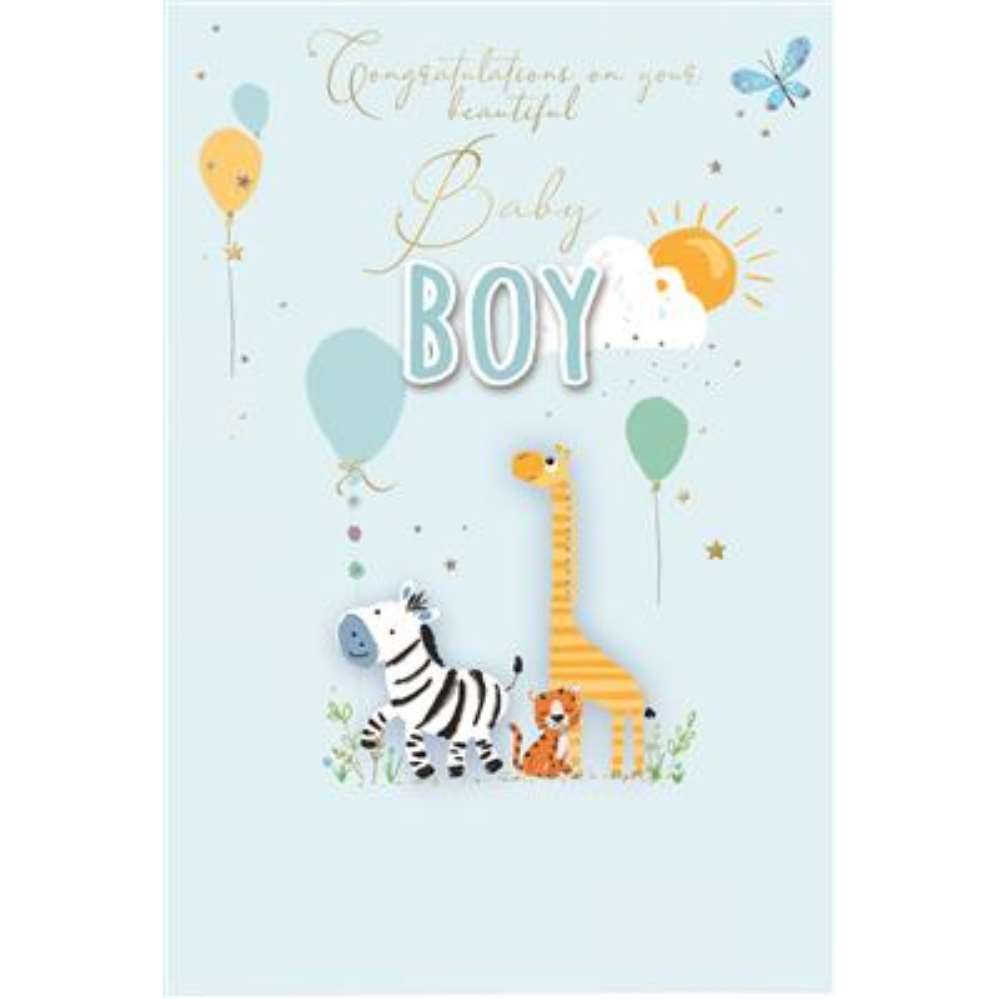6pk Cards C50 Baby Boy - Tiger Feet Ireland