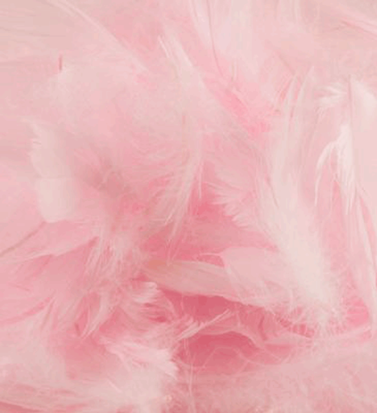 50g Eleganza Feathers Light Pink - Tiger Feet Ireland
