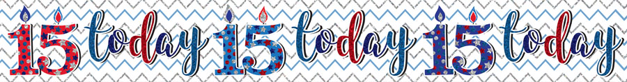 6pk Banners Birthday Age 15 - Tiger Feet Ireland