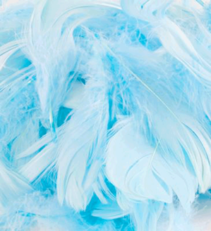 50g Eleganza Feathers Light BLue - Tiger Feet Ireland