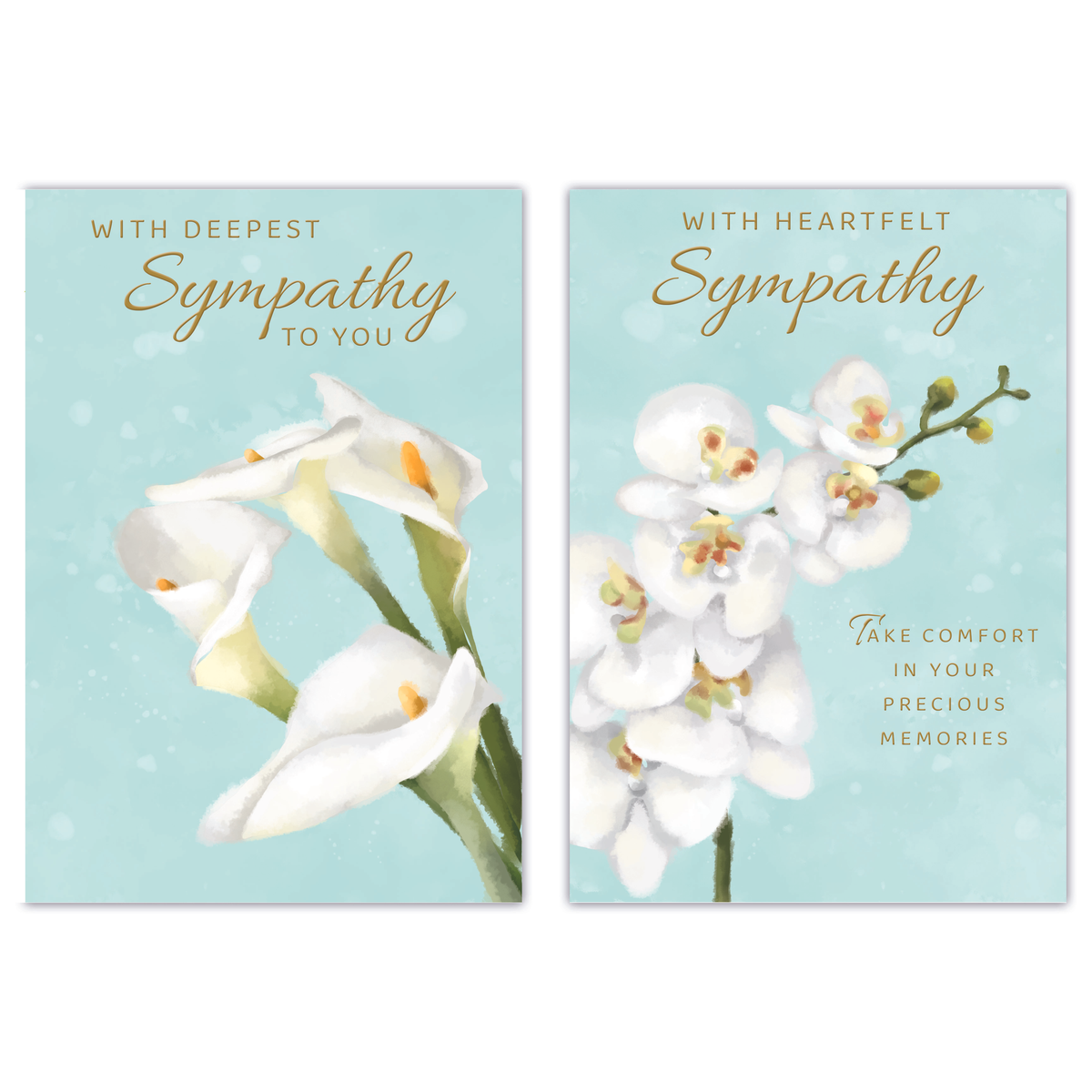 12pk Cards C50 Sympathy Open - Tiger Feet Ireland