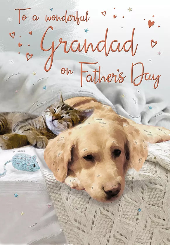 6pk Cards FD C75 Grandad Puppy & Kitten - Tiger Feet Ireland