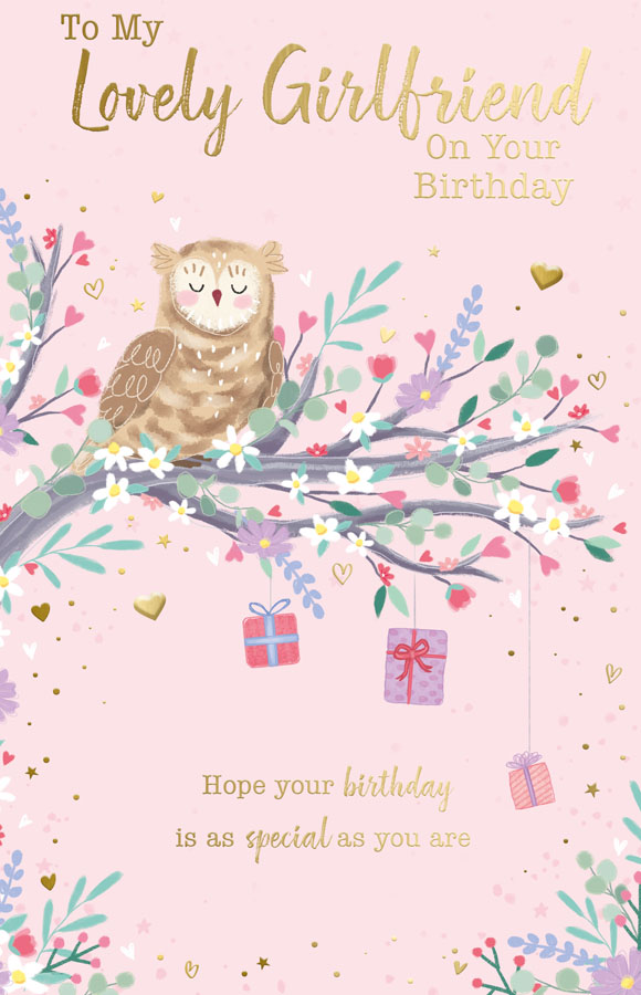 6pk Cards C375 Birthday Girlfriend - Tiger Feet Ireland