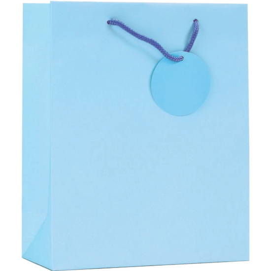 Simon Elvin Gift Bag Turquoise Medium 6pk