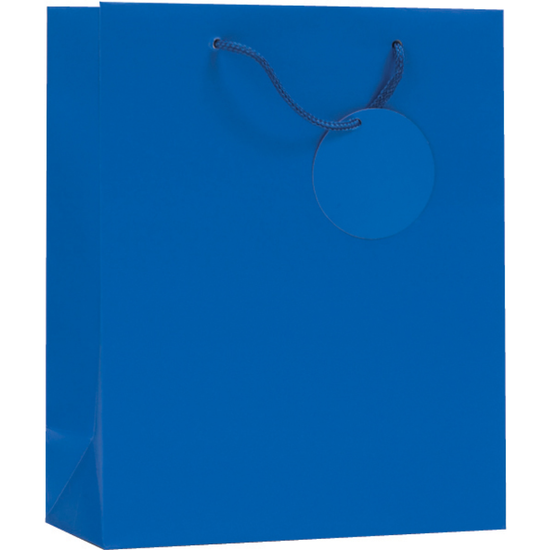 Simon Elvin Gift Bag Blue Medium 6pk