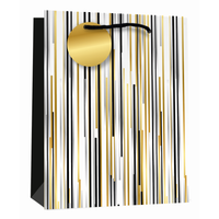 6pk Giftbags Medium Abstract Art - Tiger Feet Ireland