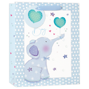 6pk Giftbags Large Baby Boy - Tiger Feet Ireland
