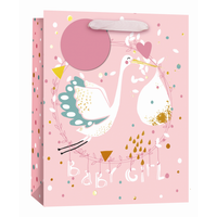6pk Giftbags Large Baby Girl - Tiger Feet Ireland