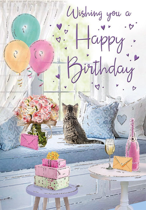 6pk Cards C90 Birthday Open - Tiger Feet Ireland