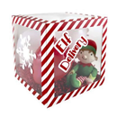 Balloon Box Elf Delivery 30x30cm 6pk