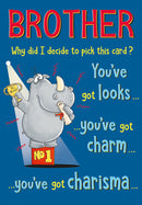 6pk Cards C75 Birthday Brother - Tiger Feet Ireland
